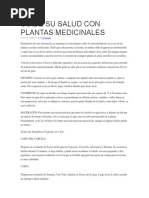 Cuide Su Salud Con Plantas Medicinales