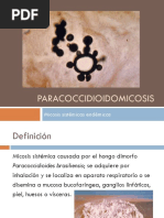 Paracoccidioidomicosis