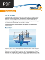 Beam Trawl: How Fish Are Caught