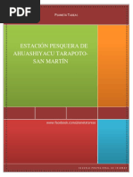 Informe Ambiental