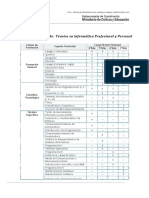 Estructura ETP Tecnico en Informatica Prof y Pers