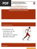 Musculo Esqueletico y Transmision Sinaptica