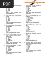 QUIZ Adjective Clause