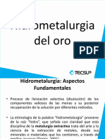 Presentación - Hidrometalurgia Del Oro