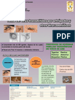 Tema 18 Virus Transmitidos Por Artrópodos y Otros Virus Zoonóticos 2017