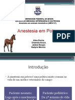 Anestesia em Potros