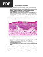 Cuestionario Semana 6