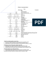 Posture Assessment Sheet