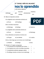 Sesión - Sistema Digestivo