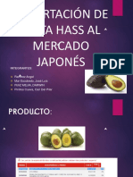 t3 Palta Hass Logistica