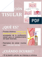 Patologia Reparacion Celular