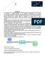 Guía Sistema Nervioso Central