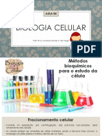 Aula 04 - Biologia Celular