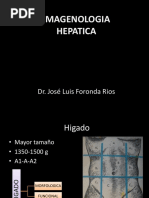 Higado