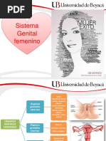 Semiología Genital Femenino 8marzo