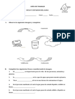 Guía de Trabajo - Estados Del Agua y Ciclo Del Agua