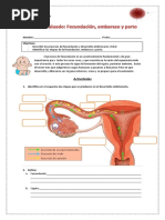 Taller Fecundacion, Embarazo y Parto