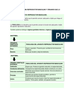 Anatomia Del Sistema Reproductor Masculino..!