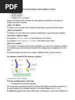 Lordosis Cifo Esco