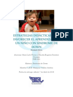 Estrategias Didácticas para Alumno Con Síndrome de Down