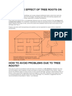 What Is The Effect of Tree Roots On Building