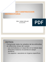 Tema 02 Produccion y Destruccion Eritrocitaria