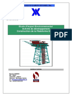 Etame Phase III Environmental Impact Assessment French