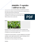 Huerta Saludable INFORMACION