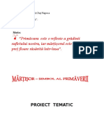 11 Proiecttematic