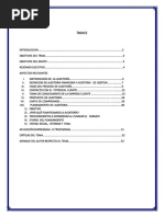 Proceso de Auditoria I