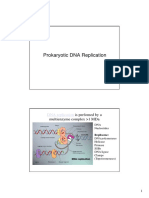 Prokaryotic DNA Replication