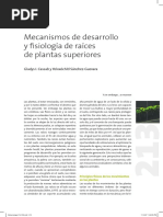 Desarrollo y Fisiologia de Raices PDF