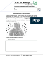 7basico - Guia Trabajo Ciencias