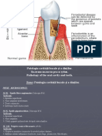 Patologia Cavităţii Bucale Și A Dinţilor