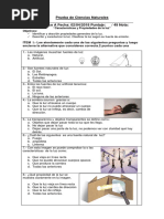 Prueba Ciencias Naturales LUZ