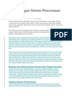 Fungsi Organ Sistem Pencernaan Manusia