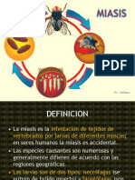 Miasis - Dermatosis de Gestacion