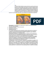 PDF Documento