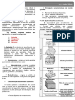 Resumo - Histologia