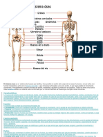 Sistema Oseo