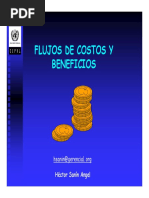 Flujos de Costos e Ingresos