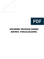 Informe Técnico Sobre Bienes Fiscalizados