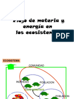 Cadena Alimenticia - Flujo de Materia y Energia