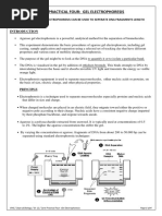 Gel Electrophoresis