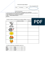 Evaluación de Lengua Indígena