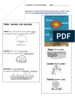 Grade 2 Unit 4 Summary Natural Science