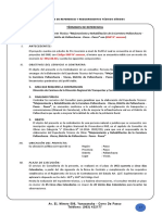 TDR Consultoria Expedeinte Tecnico - Carretera - Viscas - Pallanchaccra