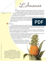 Fche Ananas PDF