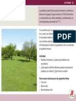 049 Pradera PDF