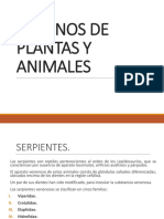 Venenos de Plantas y Animales